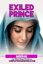  EXILED PRINCE  BOOK 1