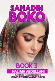 Sanadin Boko Book 3 Complete 