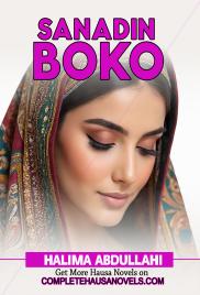 Sanadin Boko Complete Hausa Novel 