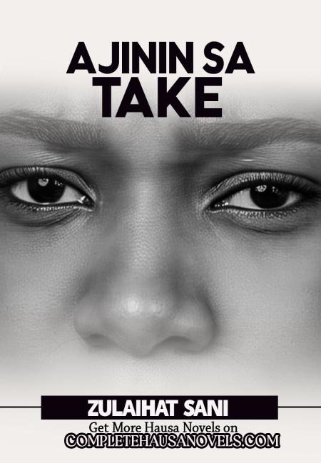 A JININSA YAKE PDF BOOK COMPLETE Writing by Zulaihat Sani Kagara